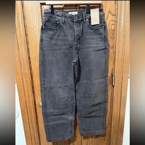 Madewell Darted Barrel Jean